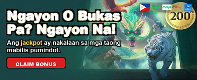 Premium Casino Gaming Experience